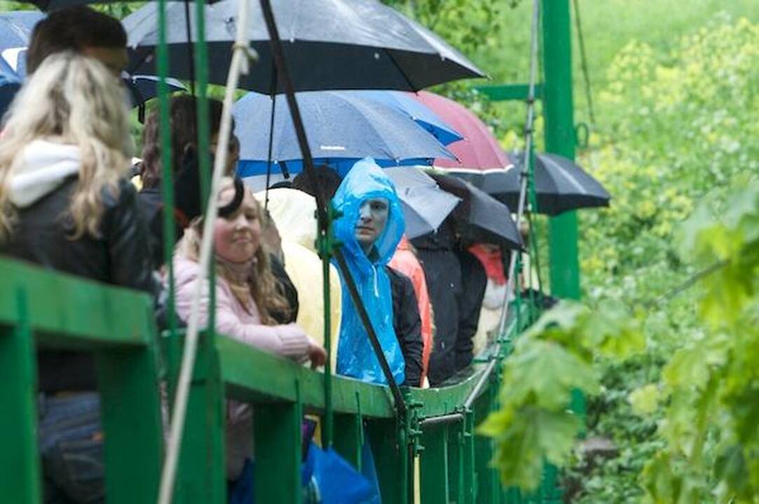 Ančiukų mažiau, bet greitesni