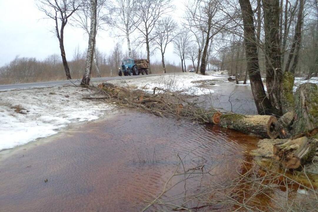 R.Kuncaitis džiaugėsi „Neptūno“žaidėjų kovingumu
