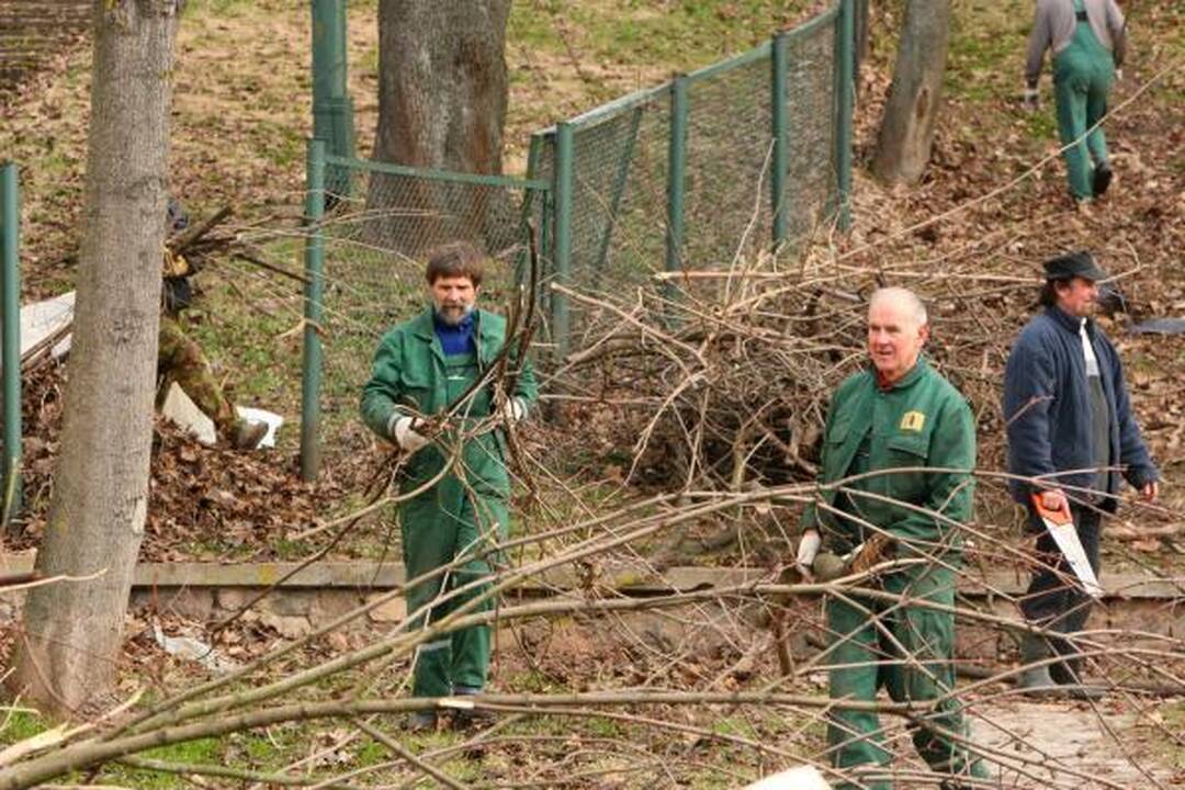 Tarp šiukšlių – vestuvių nuotraukų albumas