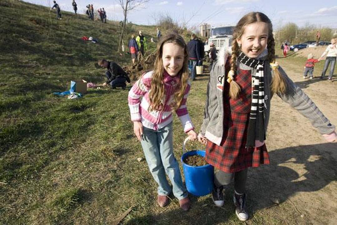 „Saulės“ mokykla Viršuliškėse pasodino ąžuolų parką