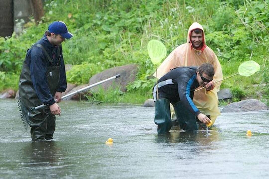 Ančiukų mažiau, bet greitesni