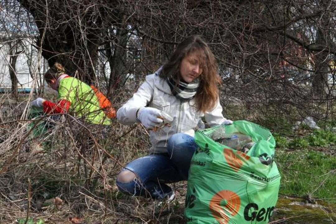 Tarp šiukšlių – vestuvių nuotraukų albumas