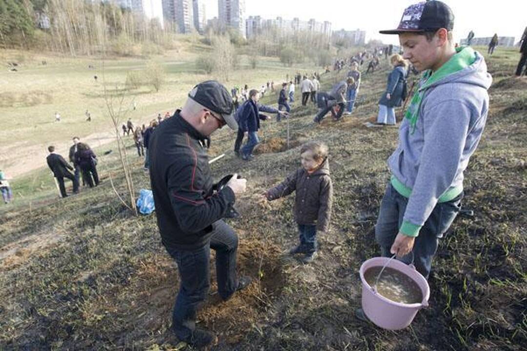 „Saulės“ mokykla Viršuliškėse pasodino ąžuolų parką