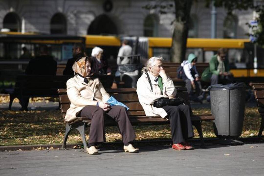 Vilniuje vienai dienai atgimė legendinis Brodas