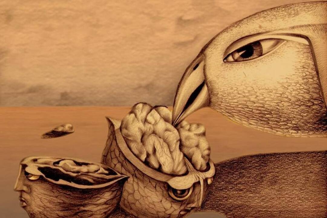 Palangoje - tarptautinis animacinių filmų festivalis
