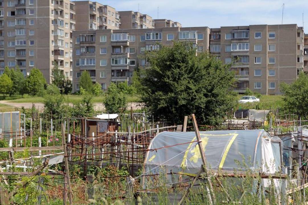 Sostinės daugiabučių papėdėje – daržininkų valdos
