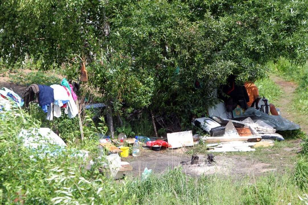 Sostinės daugiabučių papėdėje – daržininkų valdos