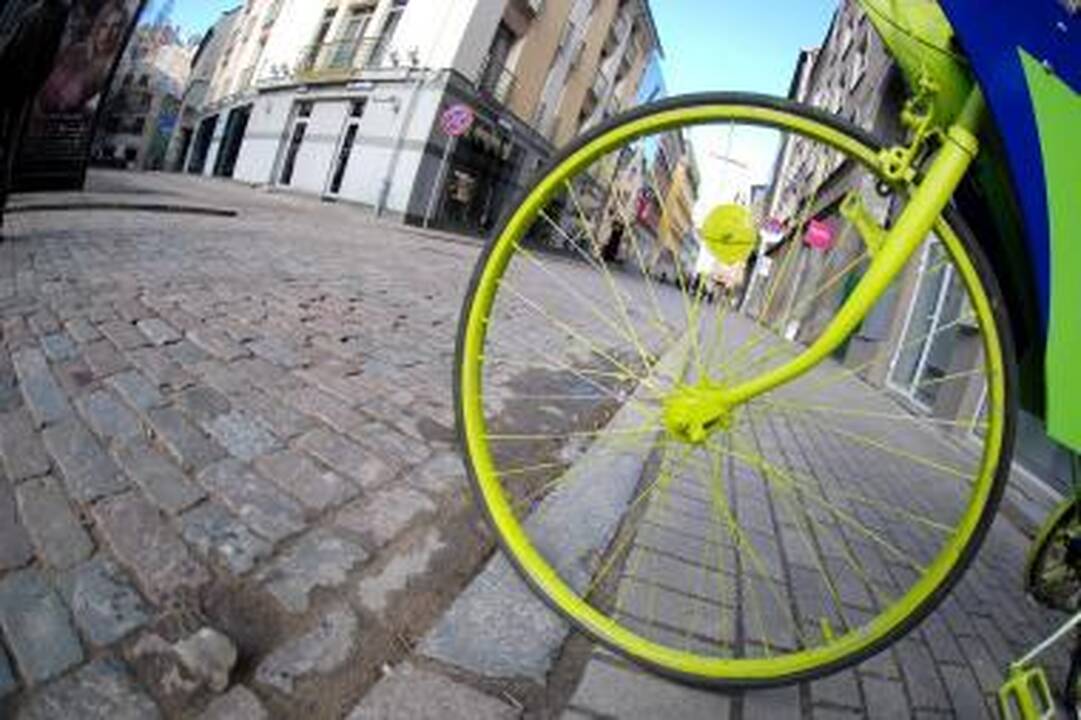 Baltijos keliu važiuojantys dviratininkai - jau Lietuvoje 