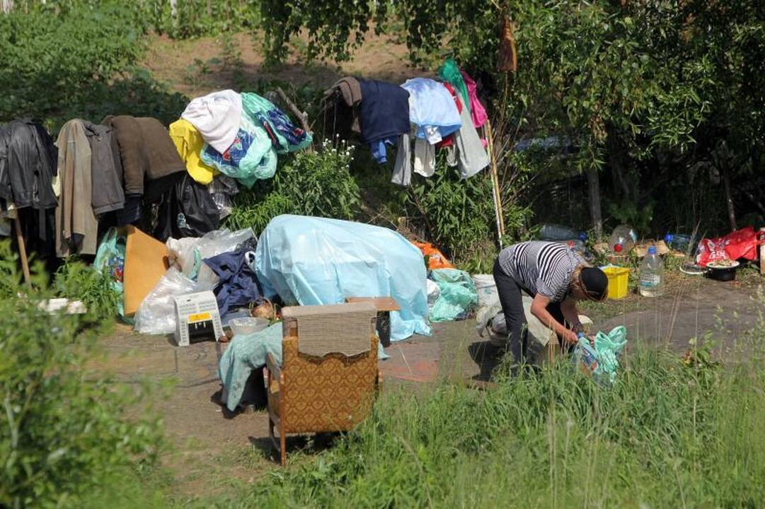 Sostinės daugiabučių papėdėje – daržininkų valdos