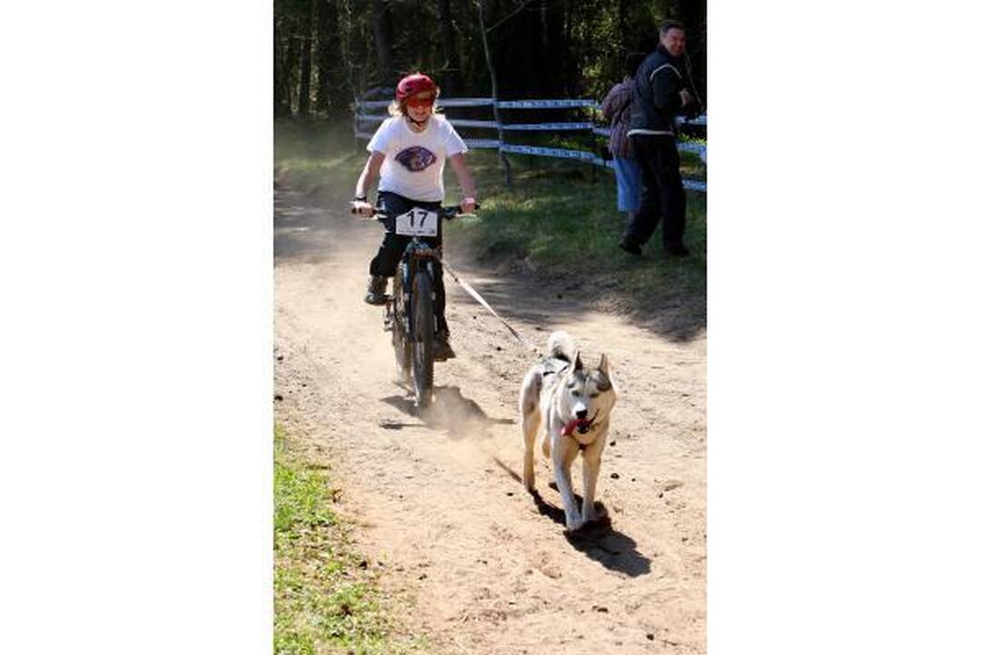 Jadagonių miške šunų karalija