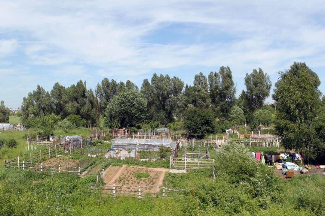 Sostinės daugiabučių papėdėje – daržininkų valdos