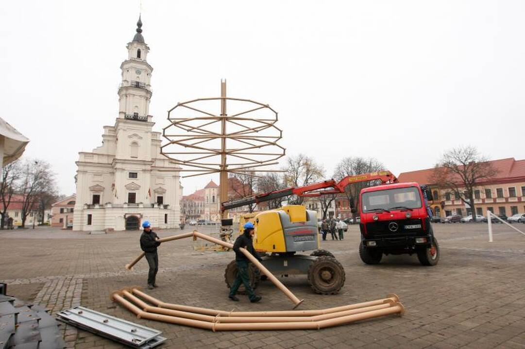 Rotušės aikštėje Hanzos medį pakeis Kalėdų eglė