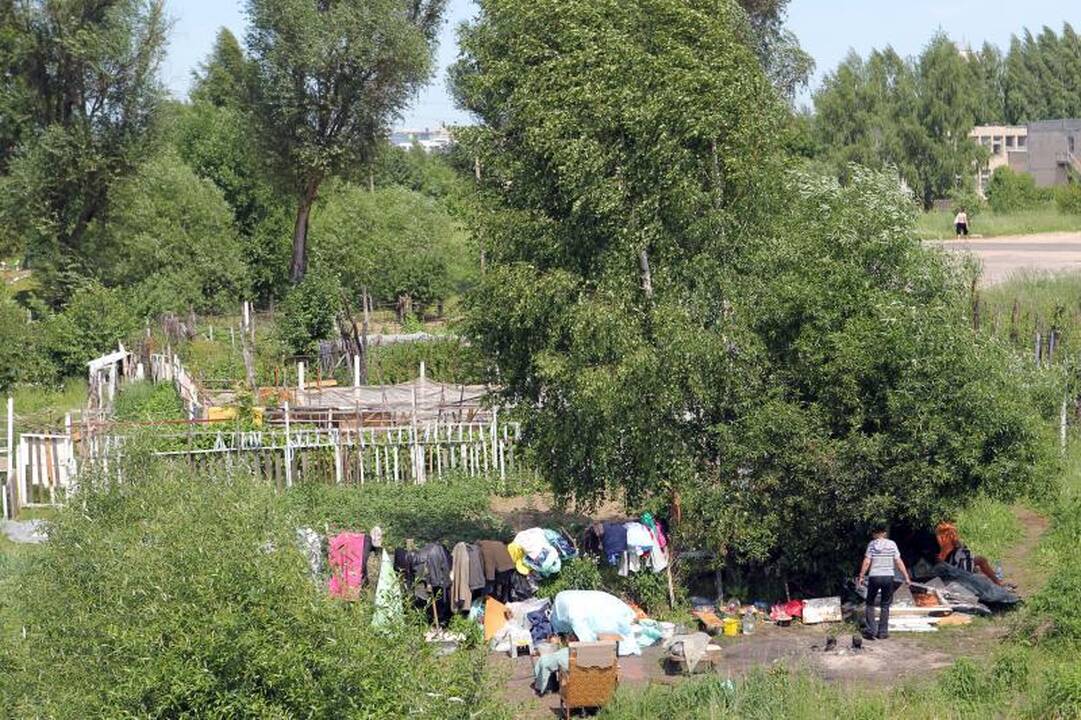 Sostinės daugiabučių papėdėje – daržininkų valdos