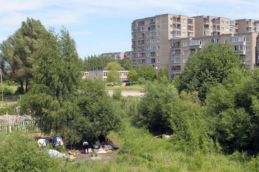 Sostinės daugiabučių papėdėje – daržininkų valdos