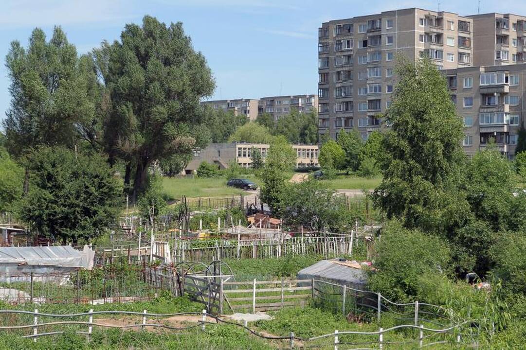 Sostinės daugiabučių papėdėje – daržininkų valdos