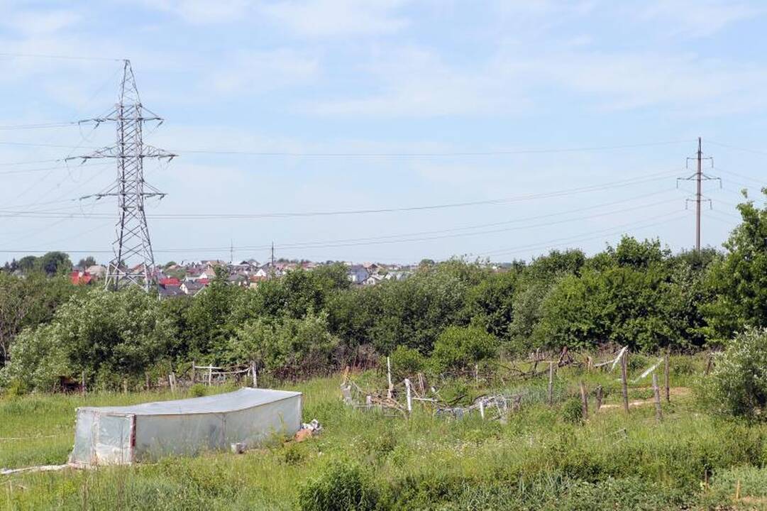 Sostinės daugiabučių papėdėje – daržininkų valdos
