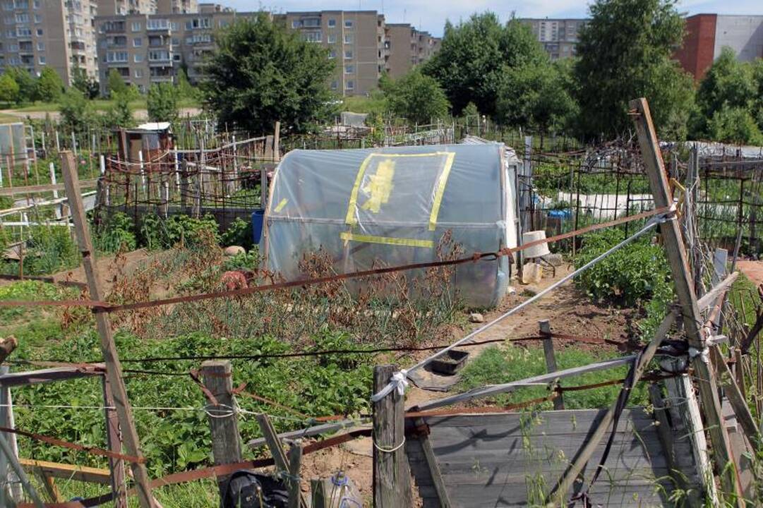 Sostinės daugiabučių papėdėje – daržininkų valdos