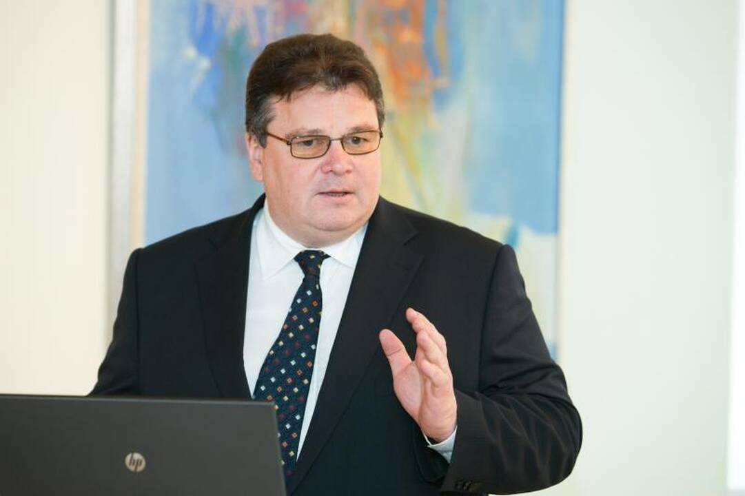 L.Linkevičius: gerbsime bet kokį islandų apsisprendimą dėl narystės ES