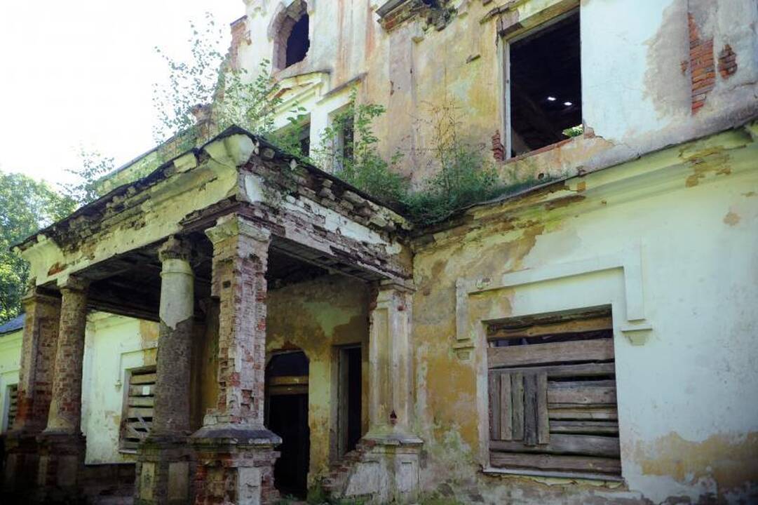 Paveldosaugininkai kaltina V.Uspaskichą meluojant