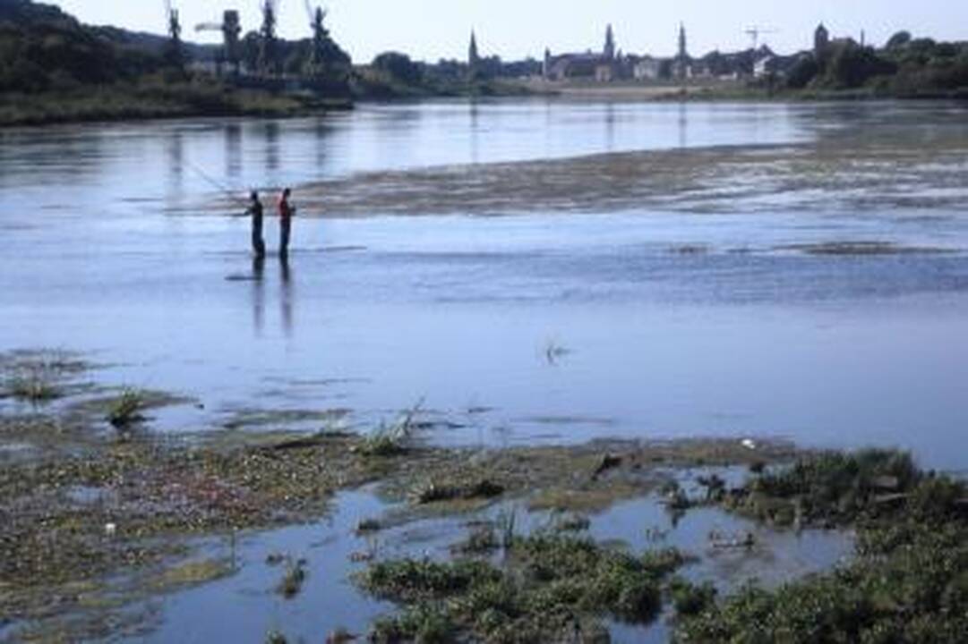 Nemuno senvagę siūloma išvalyti pigiau nei planuota 