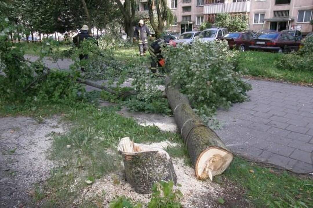 Vilniuje valandą buvo paralyžiuotas troleibusų eismas