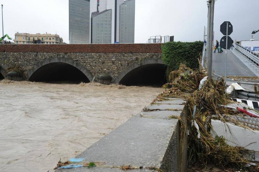 Liūtis Genujoje nusinešė šešias gyvybes 
