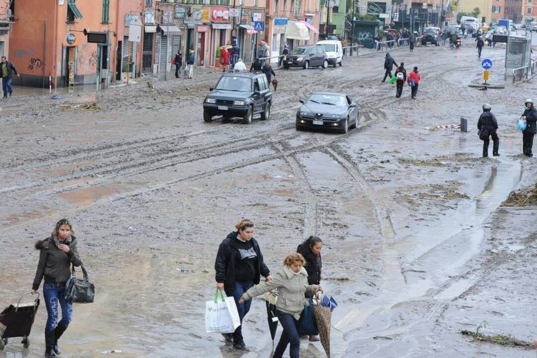 Liūtis Genujoje nusinešė šešias gyvybes 