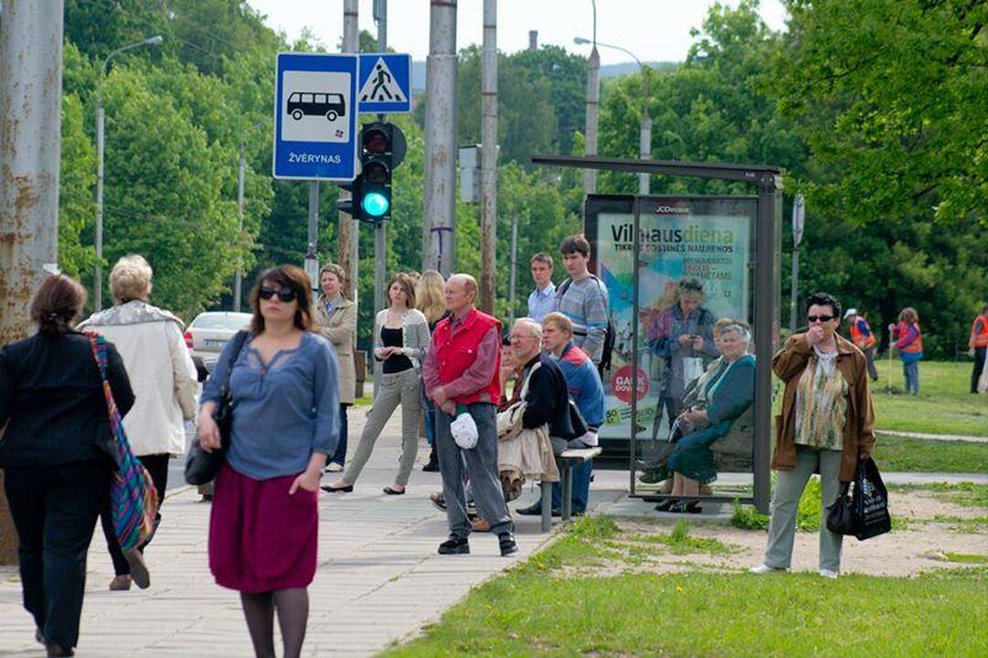 Vilniuje valandą buvo paralyžiuotas troleibusų eismas
