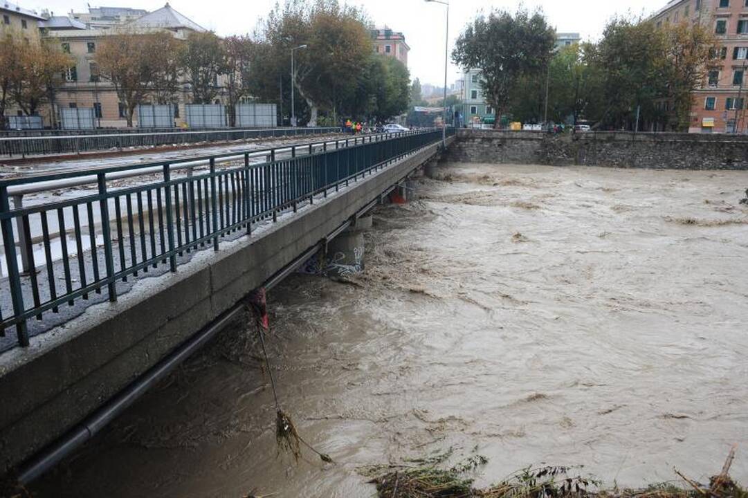 Liūtis Genujoje nusinešė šešias gyvybes 
