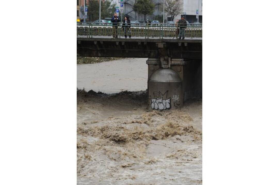 Liūtis Genujoje nusinešė šešias gyvybes 