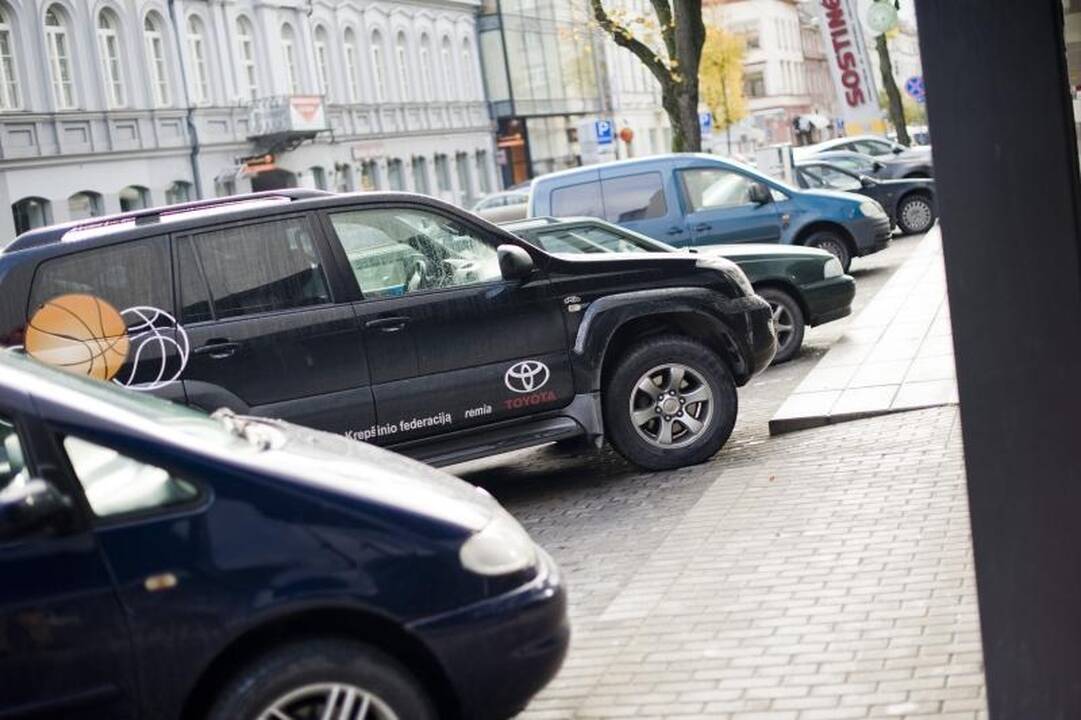 Pieniškoji gyvatė Dryžius sugrįžo į namus