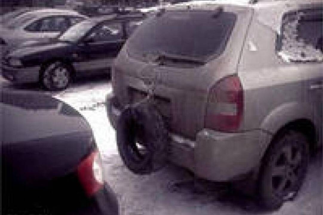 Po kaimyno garažą: automobilių tobulinimo galimybės