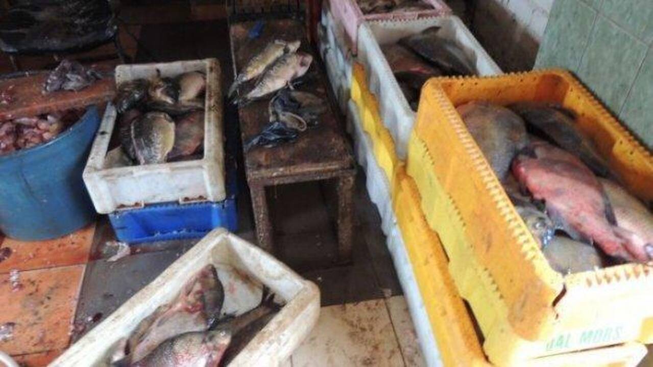 Vaizdas žuvies „fabrikėlyje“ nustebino visko mačiusius pareigūnus