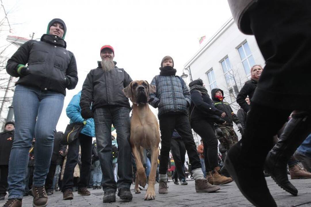 Uždraustoje eisenoje Vilniuje - tūkstančiai nacionalistų