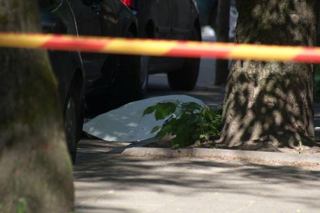 Vilniaus centre nužudytas miesto tarybos narys (foto)