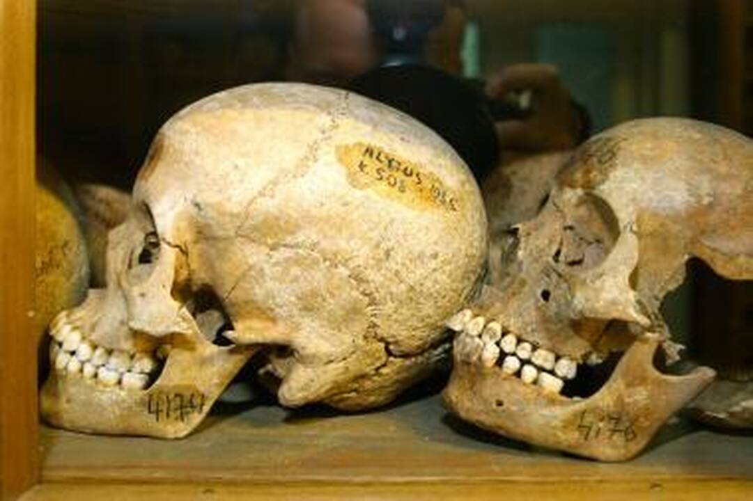 Kaune rasti žmogaus griaučiai