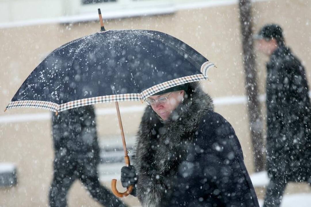 Savaitgalis pavasario neprimins: kris šlapdriba, bus vėsoka