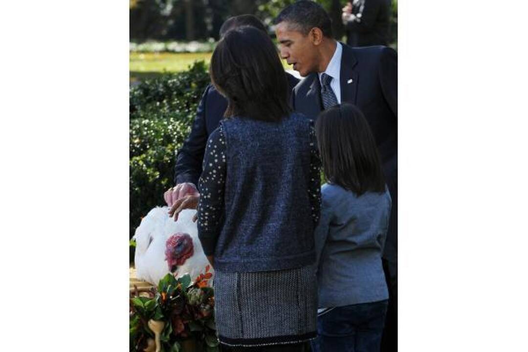 B.Obama prieš Padėkos dieną suteikė malonę dviem kalakutams