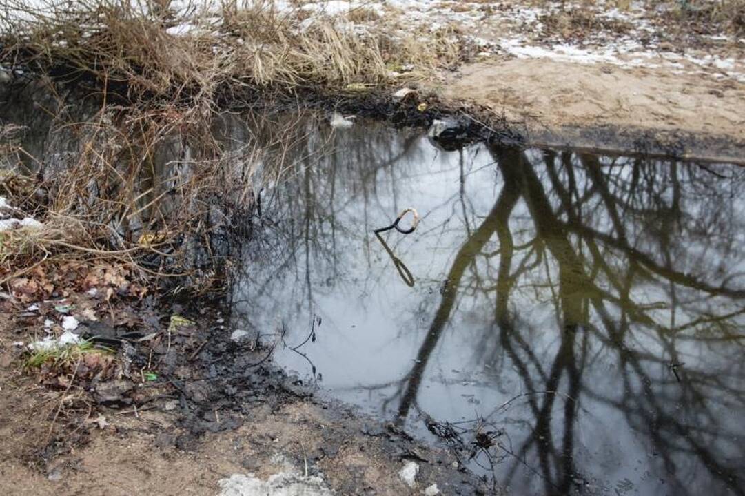 Į Kauno marias        išsiliejo teršalai 