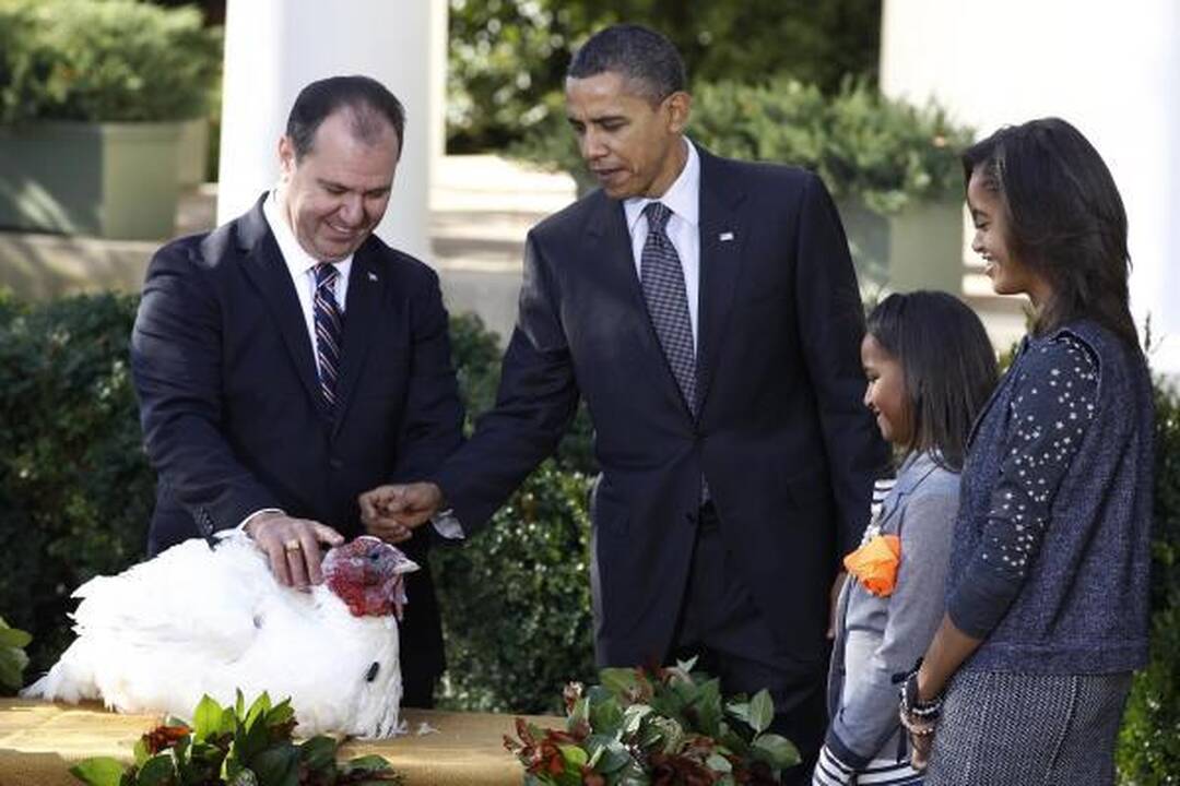 B.Obama prieš Padėkos dieną suteikė malonę dviem kalakutams