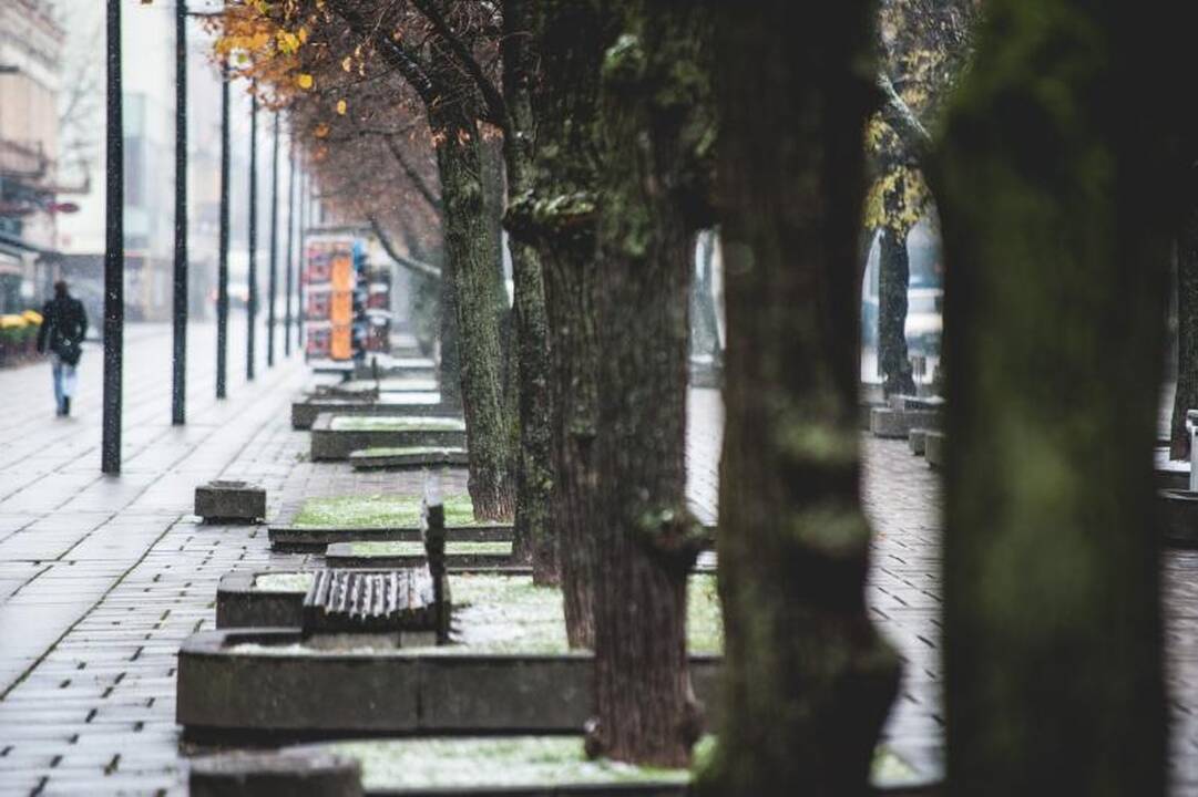 Sniegas         kelininkų     į    Kauno      gatves neišvijo
