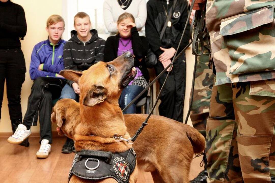 Pasieniečių šunys silpnaregiams ir akliems vaikams dovanojo šilumą