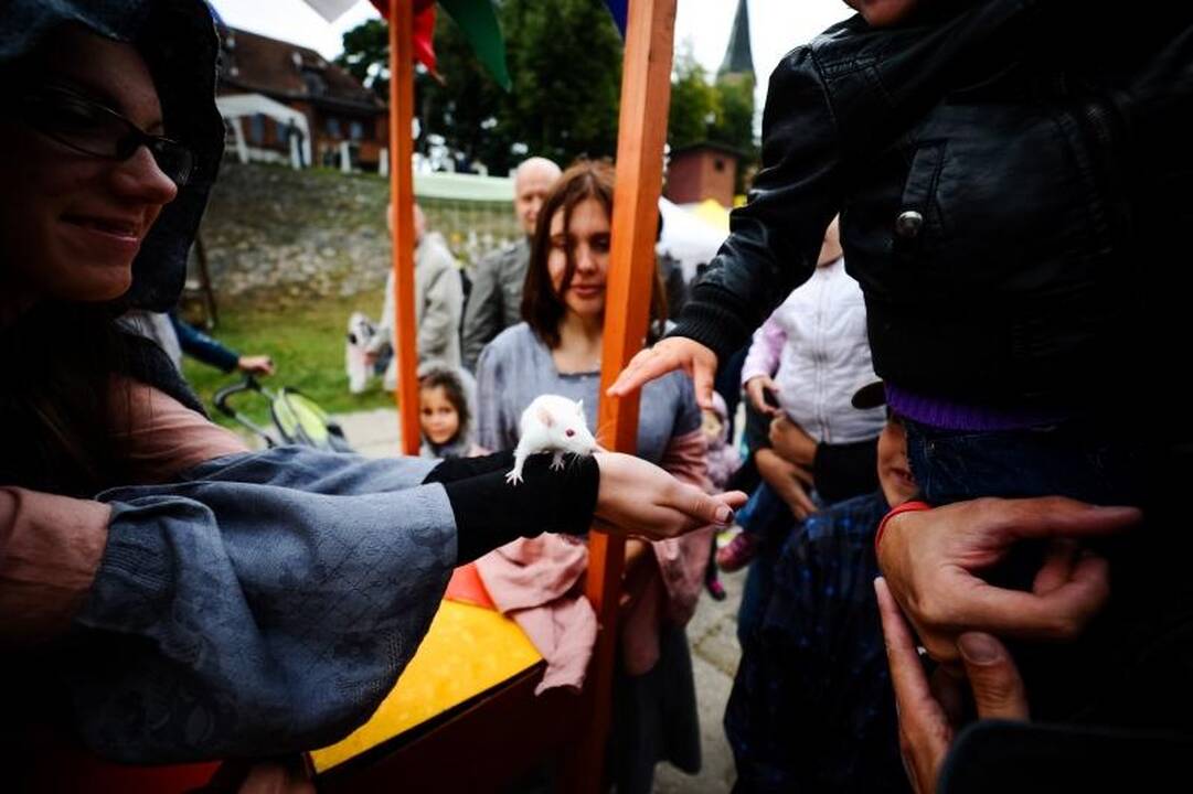 Ministras D.Jankauskas aukojo ir kvietė košės
