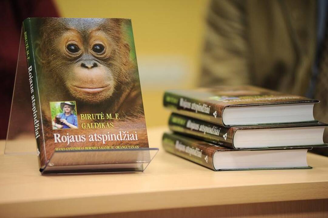 B.Galdikas ieško savanorių orangutanams prižiūrėti