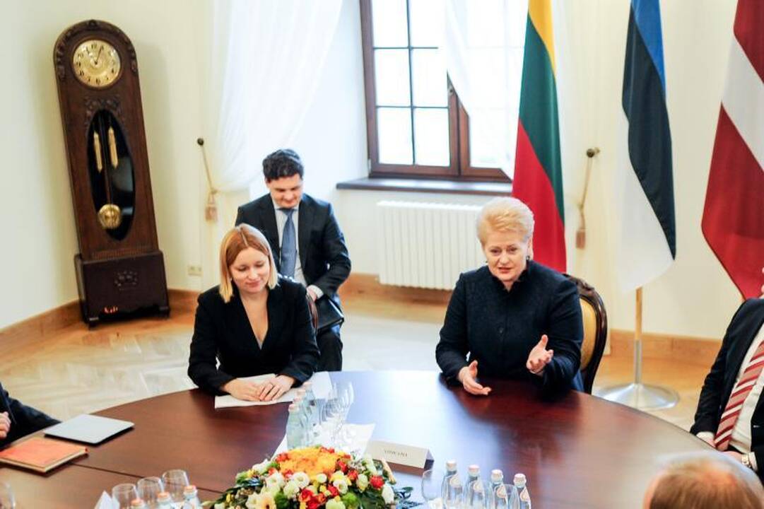 Raudondvario pilyje skambėjo priekaištai dėl atominės elektrinės