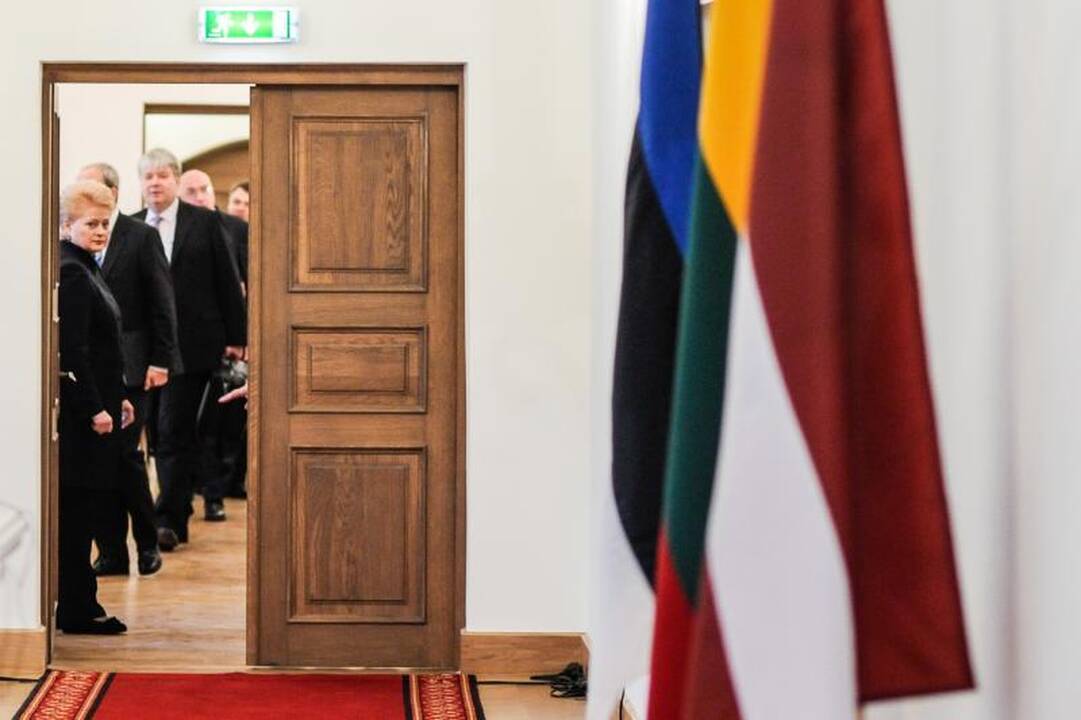 Raudondvario pilyje skambėjo priekaištai dėl atominės elektrinės