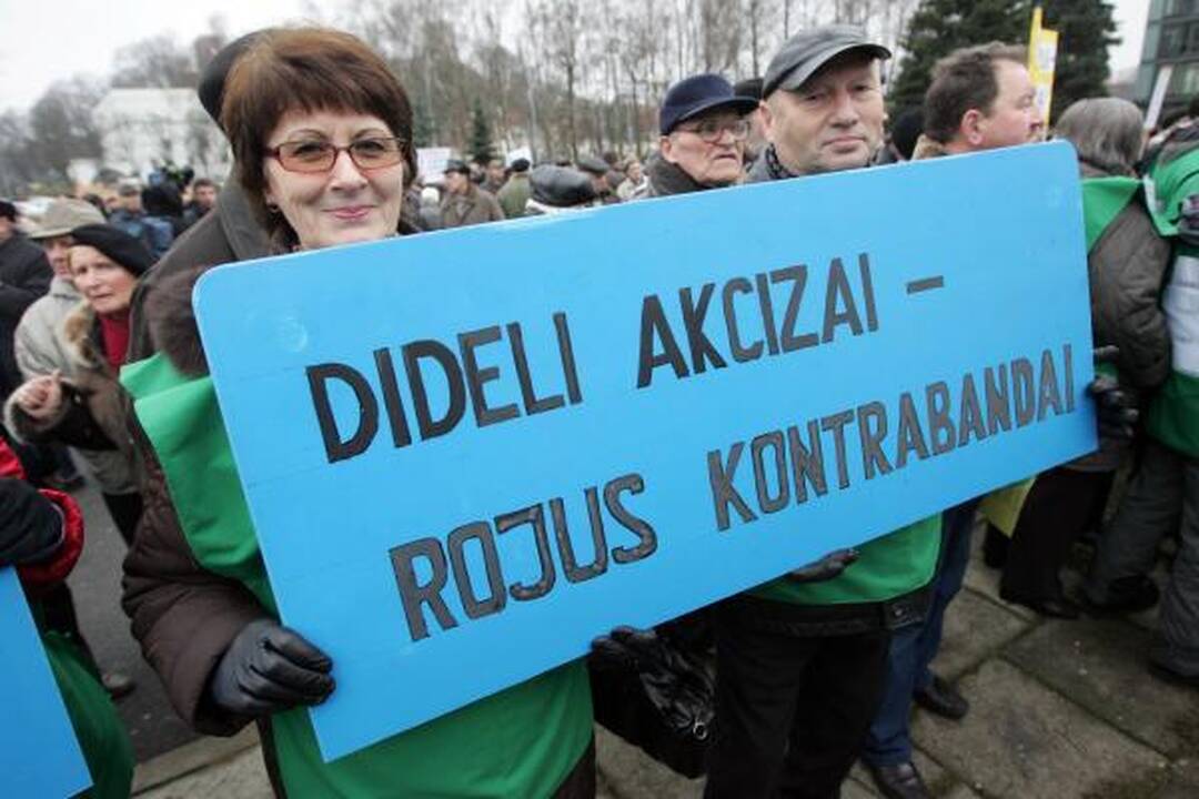 Pensininkų mitinge - kalbos apie revoliuciją bei raginimai teisti valdžią (papildyta)