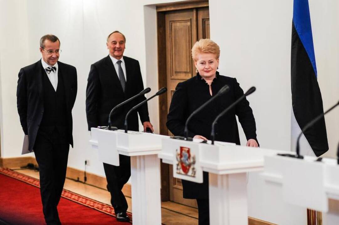 Raudondvario pilyje skambėjo priekaištai dėl atominės elektrinės