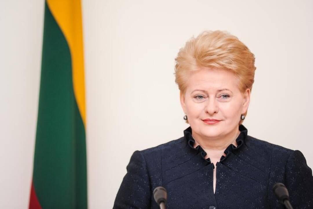 Raudondvario pilyje skambėjo priekaištai dėl atominės elektrinės