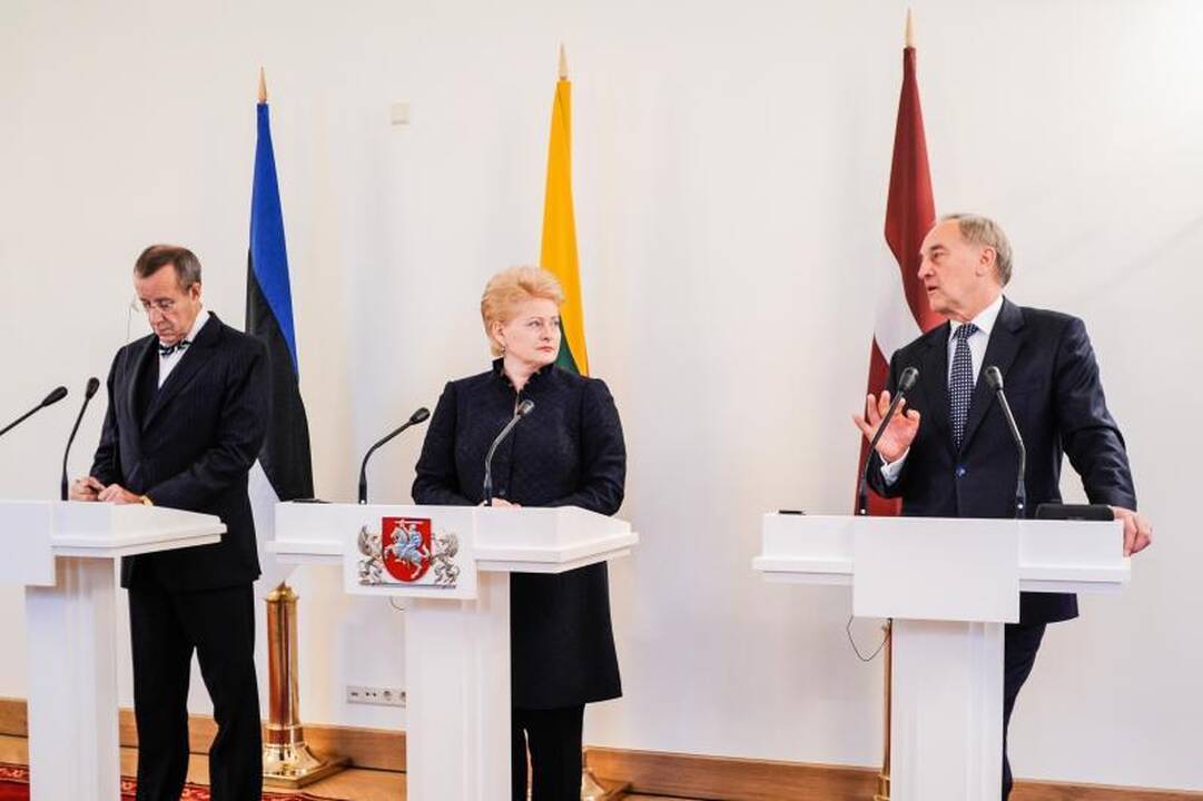 Raudondvario pilyje skambėjo priekaištai dėl atominės elektrinės